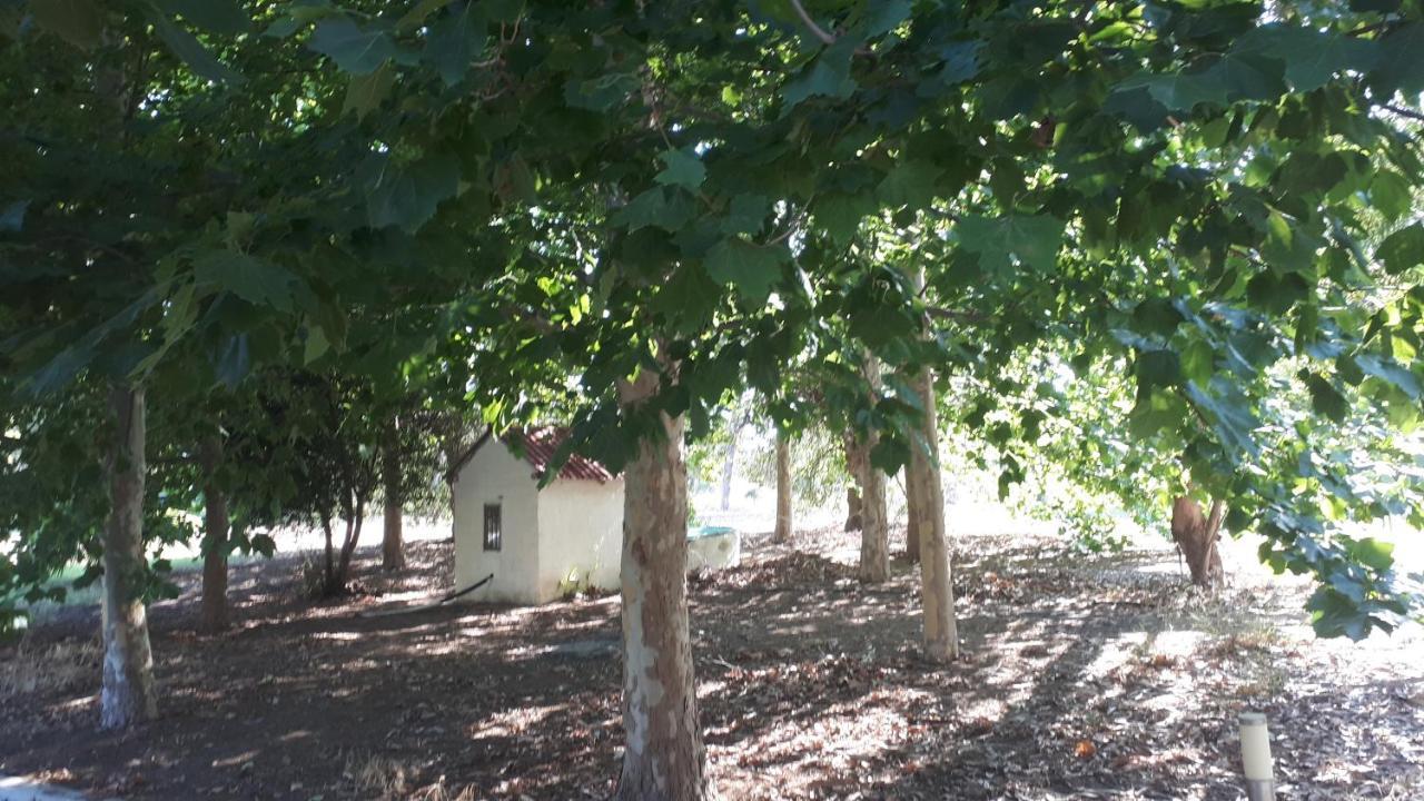 Villa Dunes 350M From The Sandy Beach Kalogria  Luaran gambar