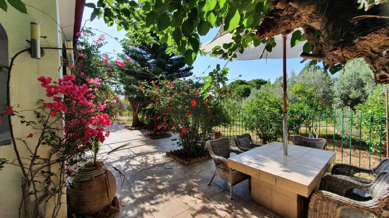 Villa Dunes 350M From The Sandy Beach Kalogria  Luaran gambar